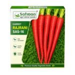 Carrot (Rajrani)