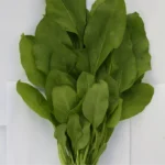 Spinach