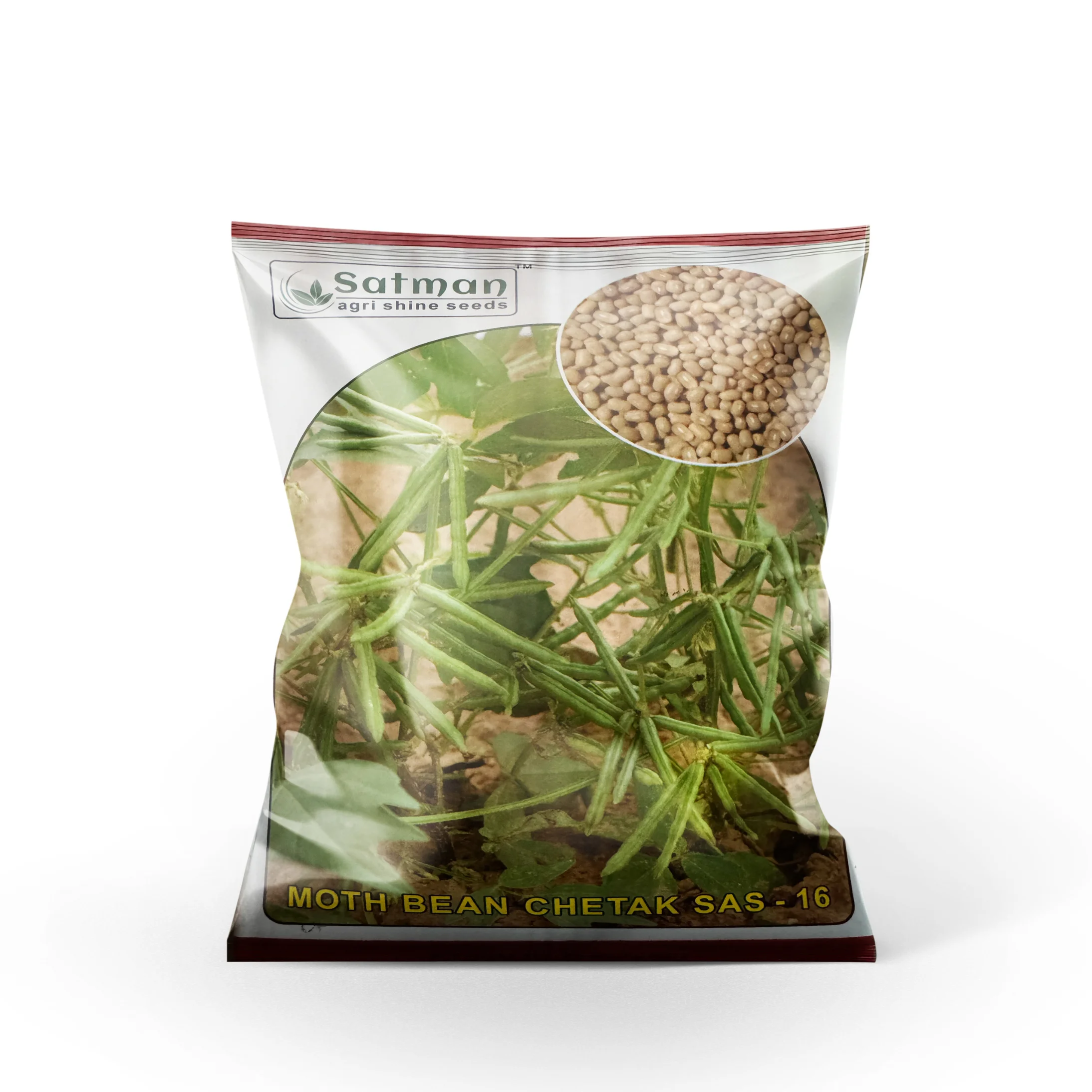 Untitled design - 2025-12-16T121156.814 Moth Bean - Image 1