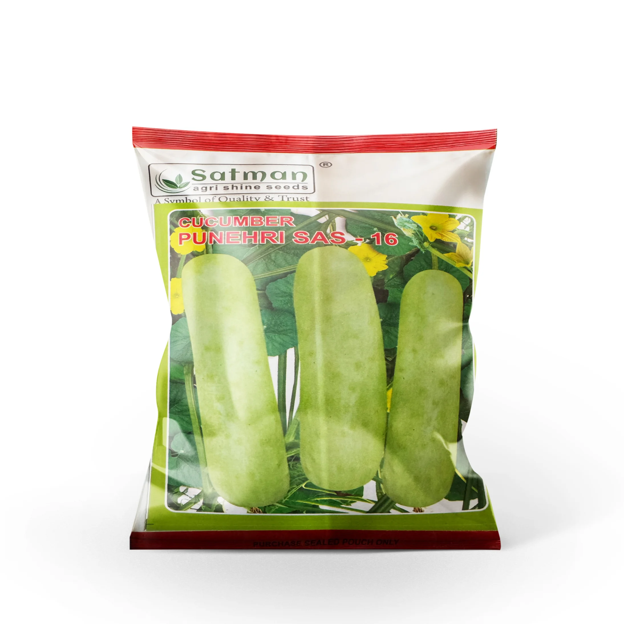 Untitled design (84) Cucumber - Image 1