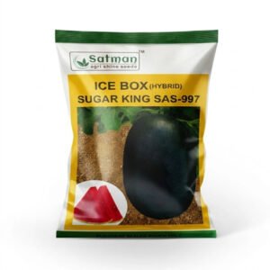 Ice Box (Hybrid) Sugar King SAS-997 Watermelon