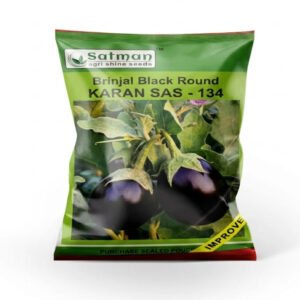 Brinjal Black Round Karan SAS-134