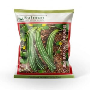 Gujarati Kakri Neelam SAS-61