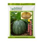 Pumpkin Shiva SAS-223