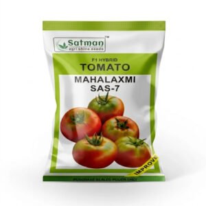 F1 Hybrid Tomato Mahalaxmi SAS-7