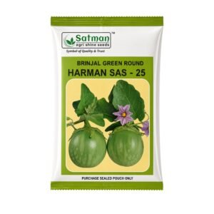 Brinjal Green Round Harman SAS-25