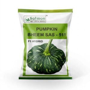 Pumpkin F1 Hybrid Bheem SAS-511
