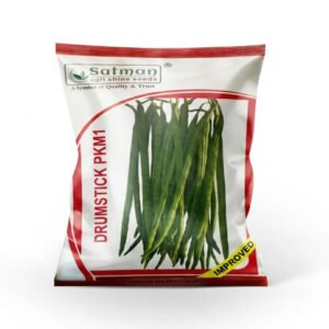 Drumstick PKM1 (Moringa)