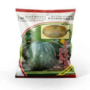 Pumpkin Shiva SAS-223