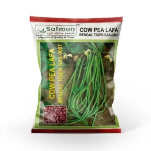 Cow Pea Lafa Bengal Tiger SAS-0007
