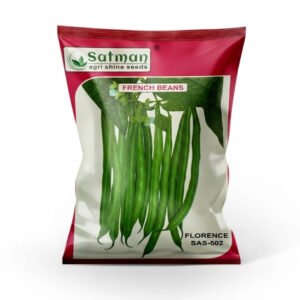 French Beans Florence SAS-502