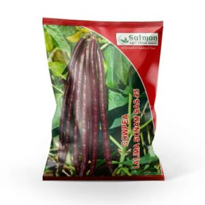 Cowpea Lalima Sonam SAS-25